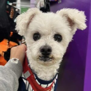 Meet your Posher, Mikeila